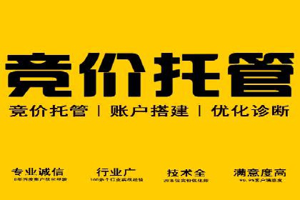 汽车行业SEM运营托管的典型案例分析